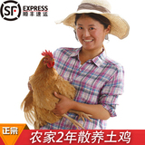 苏北农家正宗散养老母鸡土鸡生态草鸡柴鸡月子鸡新鲜活鸡肉 包邮