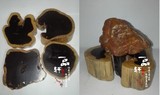 黑檀木料紫光檀原木树根底座切片木雕摆件红木小料茶壶垫奇石底托