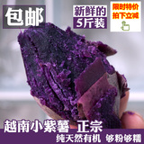 越南紫薯新鲜生地瓜紫心番薯山芋头 迷你小紫薯农家低价5斤包邮