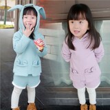 女宝宝秋冬装套装1-2-3岁0冬季2015新款女童儿童装加绒卫衣两件套