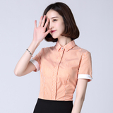 短袖衬衫女2016夏季修身职业装竖条纹橙色衬衣气质面试白领工作服