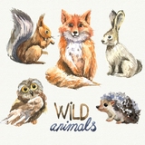 森林系狐狸兔子刺猬猫头鹰松鼠动物水彩油插画卡通EPS矢量图素材