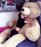 美国大熊毛绒玩具泰迪熊猫超大号公仔抱抱熊生日礼物女狗熊布娃娃