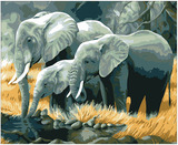 新款数字油画包邮手绘diy动物大象油画风景数码油画卧室客厅大幅
