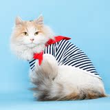 青春红领巾海魂衫春季宠物衣服猫咪小猫衣服两脚装外出服猫猫衣服