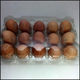 15枚装小号鸡蛋蛋托塑料透明鸡蛋托盘蛋盒土鸡蛋蛋托绿壳鸡蛋托