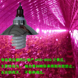植物生长灯50W   植物补光灯   大棚补光灯