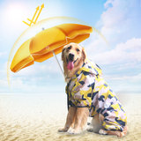 金毛狗狗衣服夏装萨摩耶拉布拉多阿拉斯加薄款防晒大狗大型犬夏季