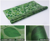 韩国高档加厚玻璃贴纸磨砂窗花纸卫生间厨房阳台不透玻璃贴膜绿叶