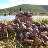 东北半野生香菇 农家干货特产500g 特级椴木小香菇 新干香菇木耳