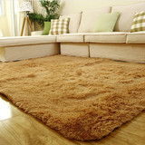 特价加厚欧式丝毛地毯客厅茶几卧室床边卫浴榻米定制全铺满铺地毯
