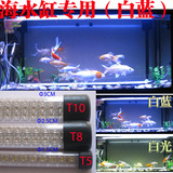 福余70-80CM海水 珊瑚缸 防水LED海缸灯 潜水灯 LED灯管 60CM白蓝
