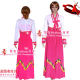 成人专业民族舞蹈服装 演出服装朝鲜族演出服装/朝鲜族舞蹈