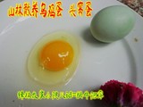 正宗农家散养土鸡蛋中的乌鸡蛋头窝蛋绿壳蛋 更适合老人孩子