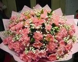 母亲节鲜花康乃馨33朵花束祝福鲜花生日圣诞节上海鲜花速递