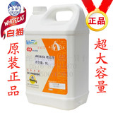 上海白猫喷洁净5L去油去污剂去除口香糖 原装正品假一罚十