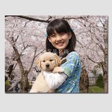 和狗狗的十个约定小女孩樱花日式挂画可爱宠物店装饰画无框画海报
