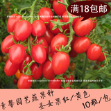 小番茄种子红圣女果种子 樱桃番茄种子 小西红柿种子 蔬果菜种子