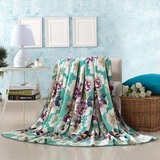 毛毯珊瑚法兰绒毯竹纤维毯加厚双层盖毯拉舍尔毛巾被特价包邮毯