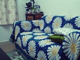 包邮地中海全棉线毯多用途沙发毯沙发罩全盖沙发垫床毯美式乡村毯