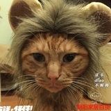 2016新款小狮子头套 猫帽子宠物变装帽狮子帽子变身搞怪猫的帽子