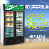 奥华立冷柜SC-580LP2双立门展示柜两门立式冷柜保鲜柜冰柜商用