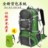 艾王 户外双肩包登山包 男女徒步旅游旅行背包户外运动背包40L50L