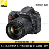国行 Nikon/尼康D750 24-120mm 套机 D750单反相机 D750套机