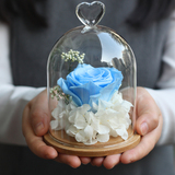 父亲节礼物进口蓝玫瑰永生花玻璃罩重庆鲜花速递送女友生日礼物