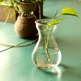 加厚小花瓶 水培风信子花瓶水栽植物玻璃花瓶透明花盆 绿萝花瓶