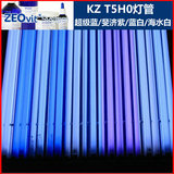 KZ T5ho灯管zeo海水24W/39W/54W/80W 超级蓝 斐济紫 蓝白 海水白