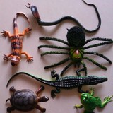仿真爬行动物模型鳄鱼蜘蛛乌龟蜥蜴蛇吓人道具儿童玩具 6款超大号