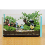 苔藓微景观生态桌面玻璃盆栽办公室创意迷你植物diy龙猫盆栽摆件