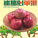 预售 云南昭通冰糖心丑苹果 新鲜水果 甜脆多汁果园直销10斤大果