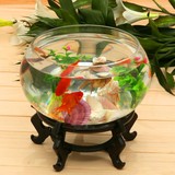 包邮小型迷你创意圆形超白水培绿萝铜钱草桌面透明玻璃鱼缸乌龟缸