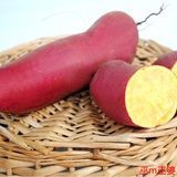 2015年沂蒙山农家自种红薯红皮地瓜黄心番薯黄心地瓜山芋五斤装