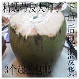 新鲜椰子海南特产大椰子青椰子6-7斤一个大椰子王包邮