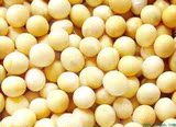 批发杂粮黄豆非转基因有机大豆500g一斤  黄豆粉 4斤包邮