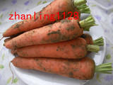 山东潍坊特产新鲜上市有机蔬菜农家自种胡萝卜多省5斤包邮