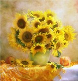 包邮精准印花正品法国DMC十字绣客厅卧室餐厅欧式油画 阳光向日葵