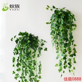 壁挂仿真植物藤条  假万年青绿萝 绿植挂壁墙饰空调下水管道装饰