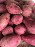 农家新鲜生紫薯  迷你小紫番薯 地瓜红薯山芋新鲜小香 薯紫色番薯