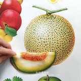 店铺墙贴纸水果图片水果蔬菜立体墙贴装饰贴画玻璃贴纸可移除水果