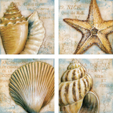 美式简约海洋世界贝壳海螺海星装饰画画心样板间画布画心批发