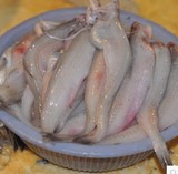 深海海鲜水产当天海捕野生新鲜豆腐鱼龙头鱼鲜甜肉嫩一斤12条以内