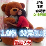 泰迪熊抱抱熊正版结婚儿童毛绒玩具熊批发大号娃娃1.6米大熊包邮