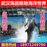 【当天可定】武汉海昌极地海洋世界门票海洋公园海洋馆成人学生票