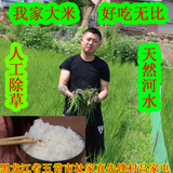 正宗五常大米2015年新米5斤纯天然农家自产有机米东北稻花香香米