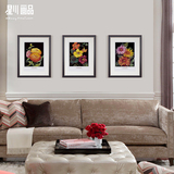 星川植物花卉装饰画客厅沙发背景墙欧美式挂画餐厅壁画三联怒放