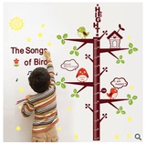 幼儿园装饰墙壁上贴纸儿童房卧室可移除卡通墙贴画小鸟身高贴树